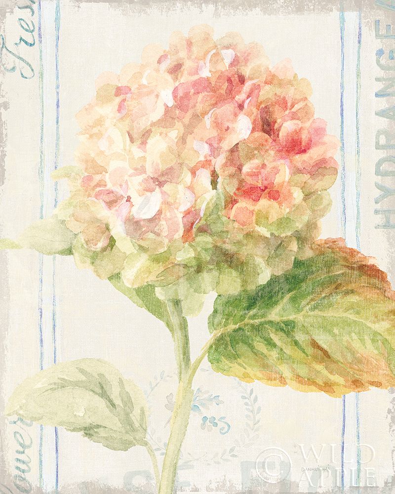 Wall Art Painting id:211451, Name: Floursack Florals VI, Artist: Nai, Danhui