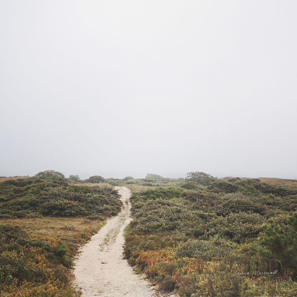 Wall Art Painting id:198528, Name: Off the Beaten Path, Artist: Marshall, Laura