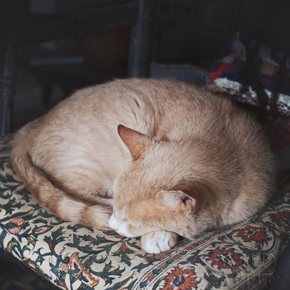 Similar wall art painting: 198533