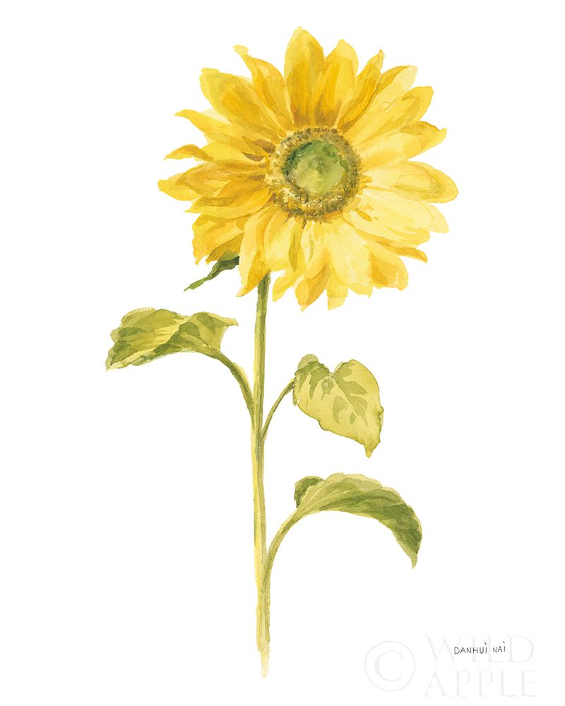 Art Print: Floursack Florals on White II