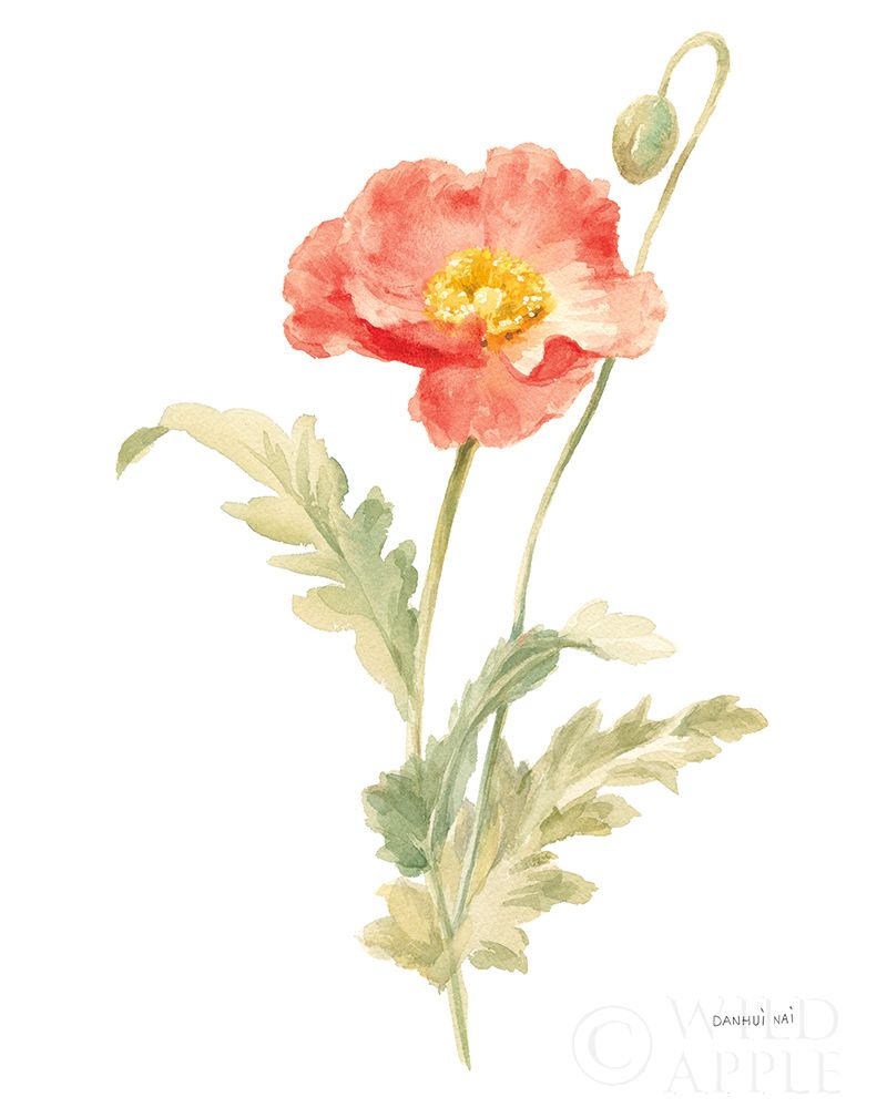 Art Print: Floursack Florals on White IV