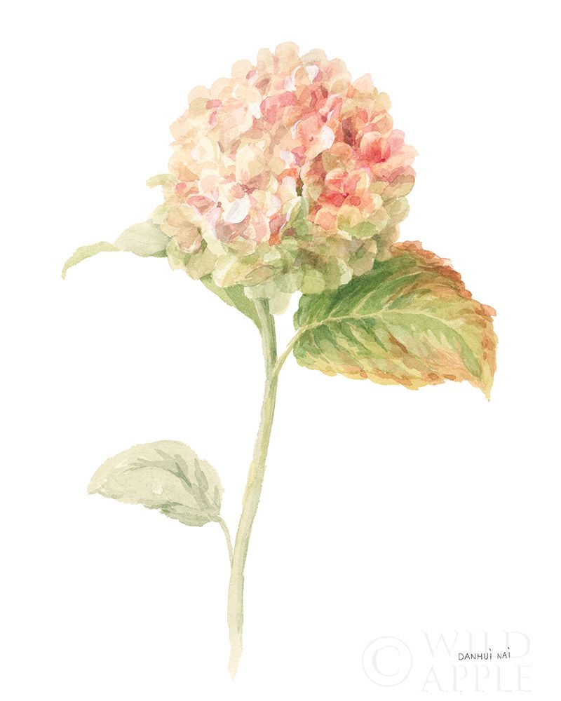 Art Print: Floursack Florals on White V