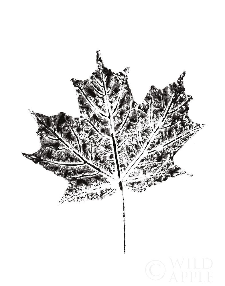 Art Print: Harvest Sentiments I BW no Words