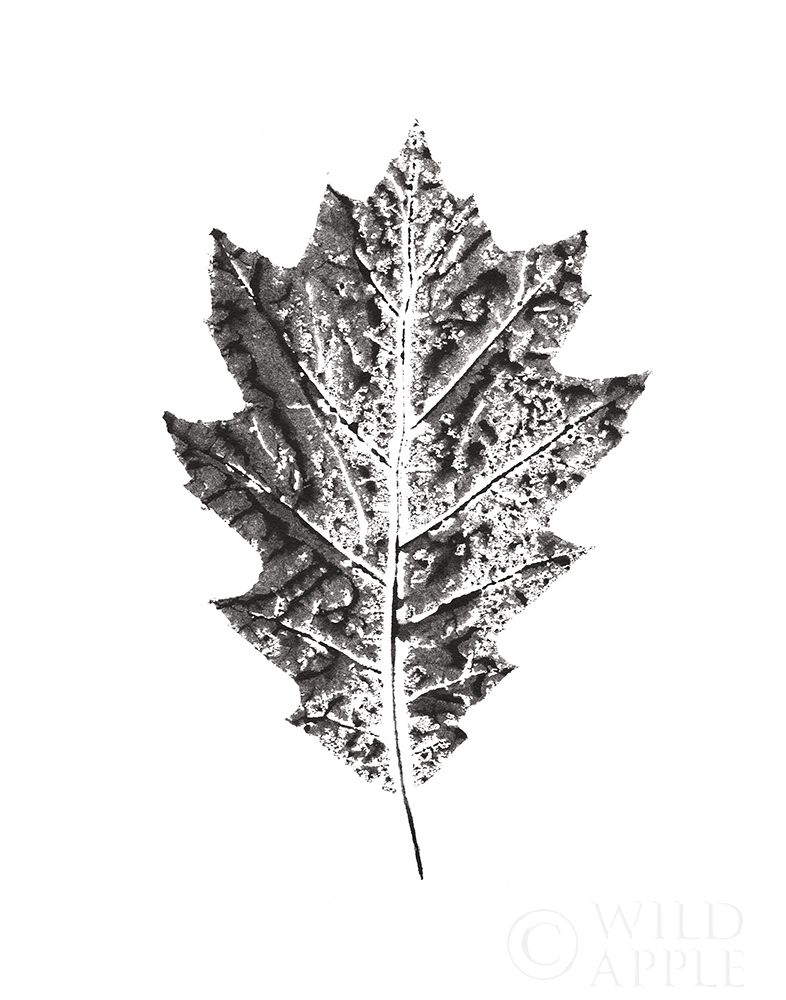 Wall art: Harvest Sentiments VII BW no Words, by Hershey, Moira