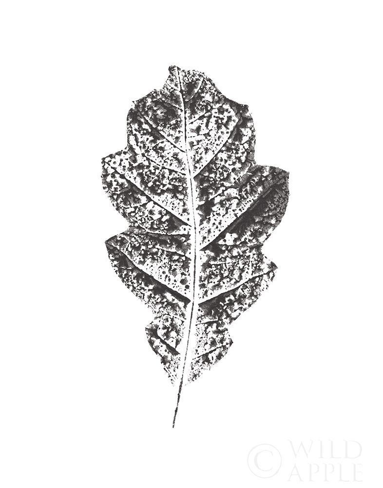 Art Print: Harvest Sentiments VIII BW no Words