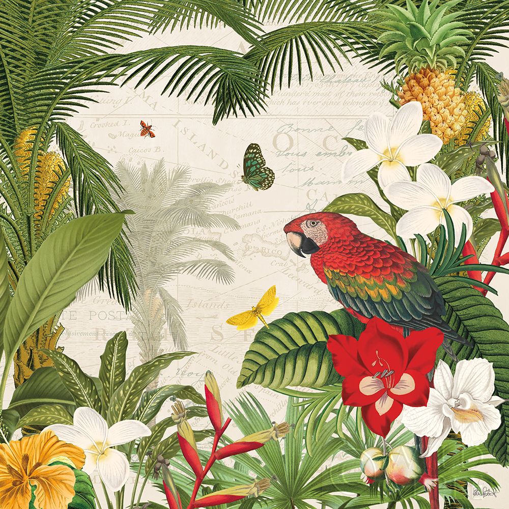 Wall Art Painting id:211425, Name: Parrot Paradise III, Artist: Pertiet, Katie