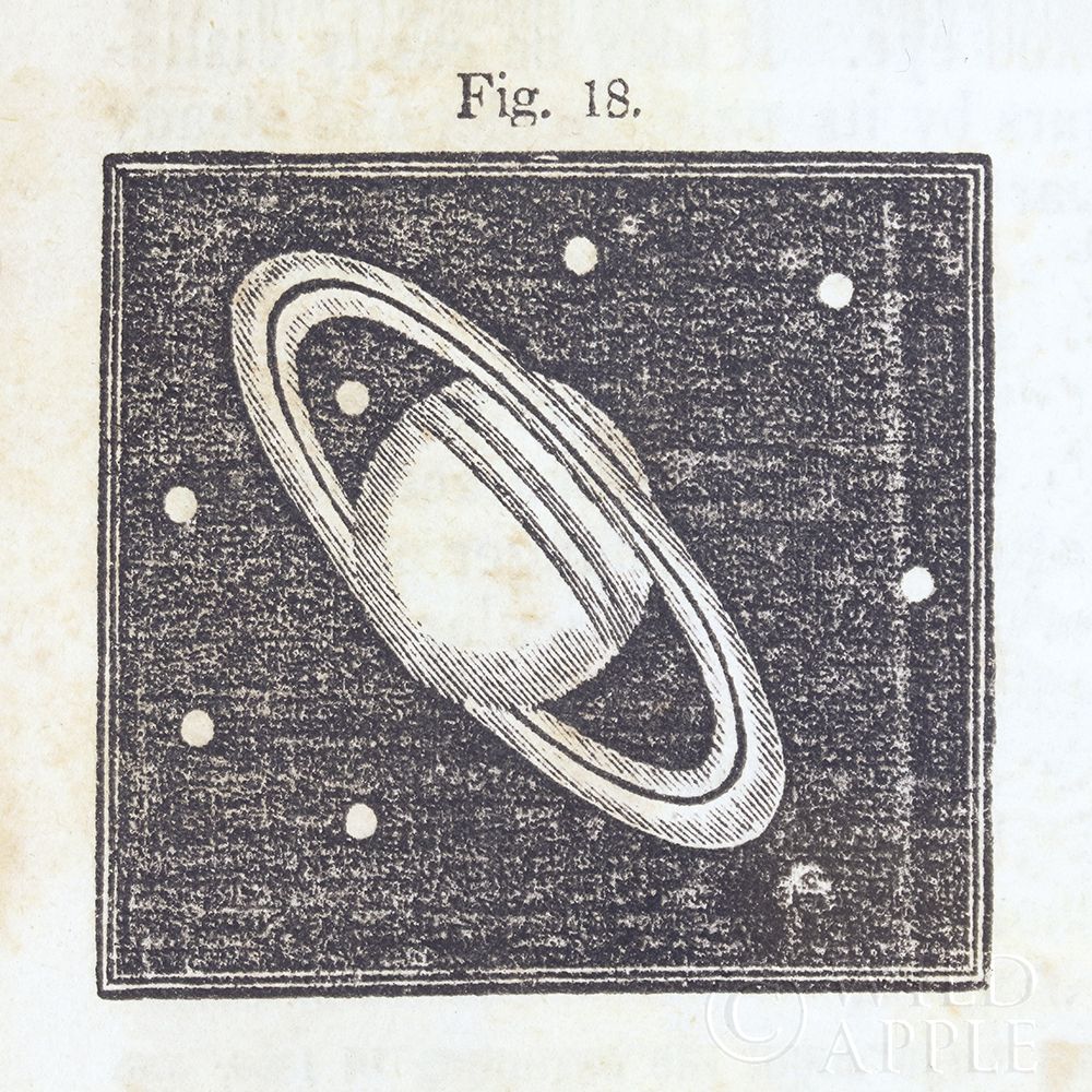 Wall Art Painting id:220498, Name: Geography of the Heavens V, Artist: Wild Apple Portfolio