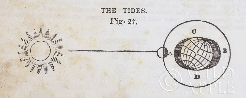 Wall Art Painting id:220499, Name: Geography of the Heavens VI, Artist: Wild Apple Portfolio