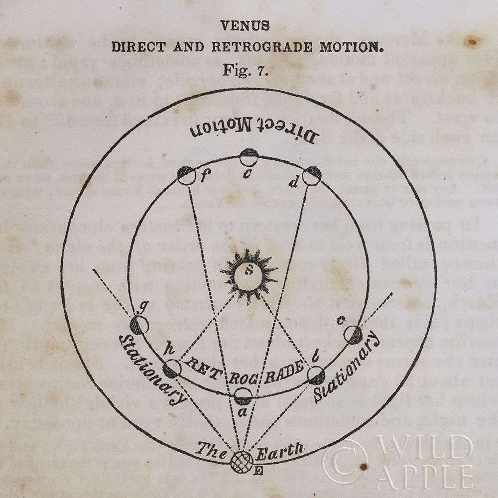 Wall Art Painting id:211359, Name: Geography of the Heavens IX, Artist: Wild Apple Portfolio