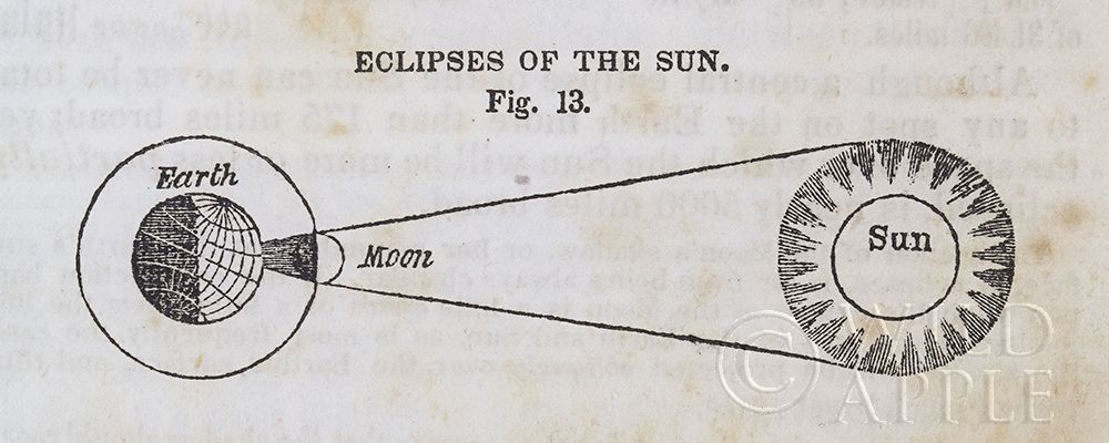Wall Art Painting id:211353, Name: Geography of the Heavens III, Artist: Wild Apple Portfolio