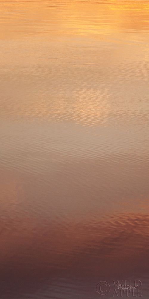 Wall Art Painting id:212974, Name: Kalaloch Reflections II, Artist: Marshall, Laura