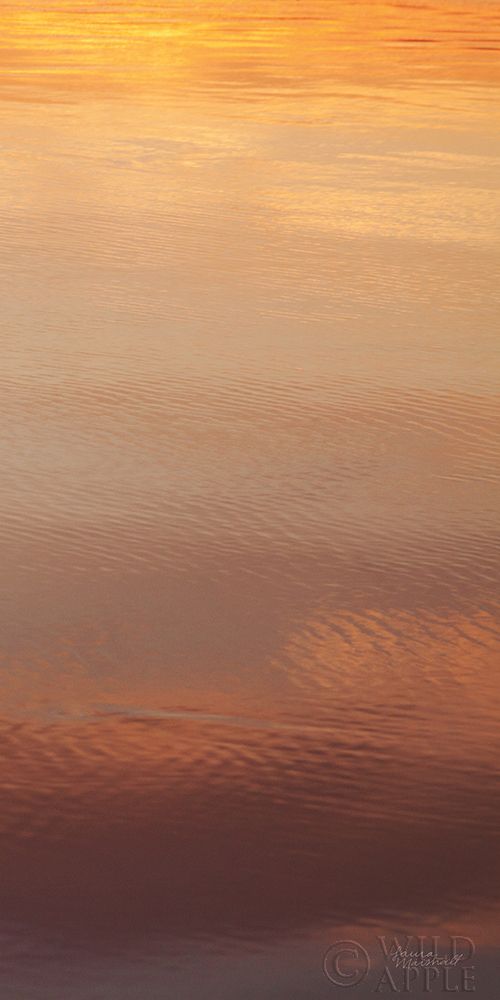 Wall Art Painting id:212975, Name: Kalaloch Reflections III, Artist: Marshall, Laura