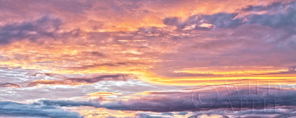 Wall Art Painting id:212977, Name: September Skies II, Artist: Marshall, Laura