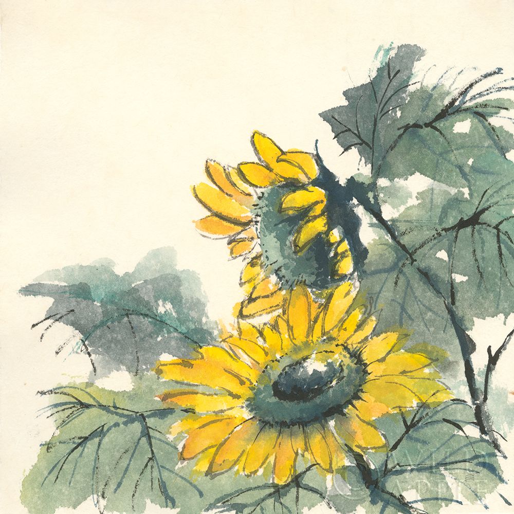 Wall art: Sunflower II, by Paschke, Chris