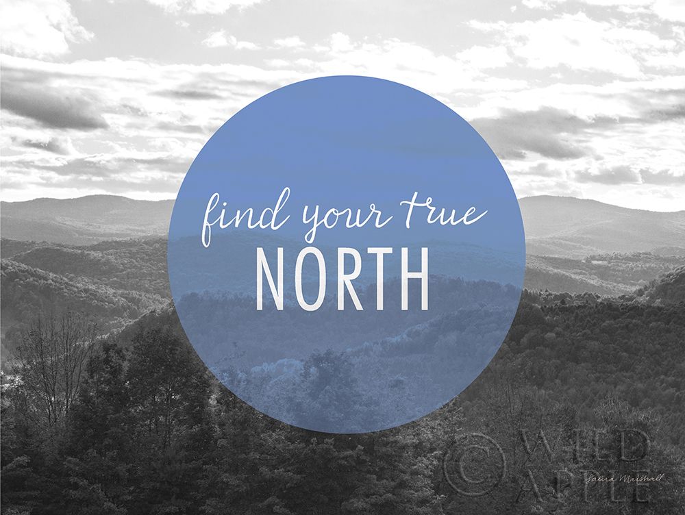 Art Print: Bold Adventures VI v2