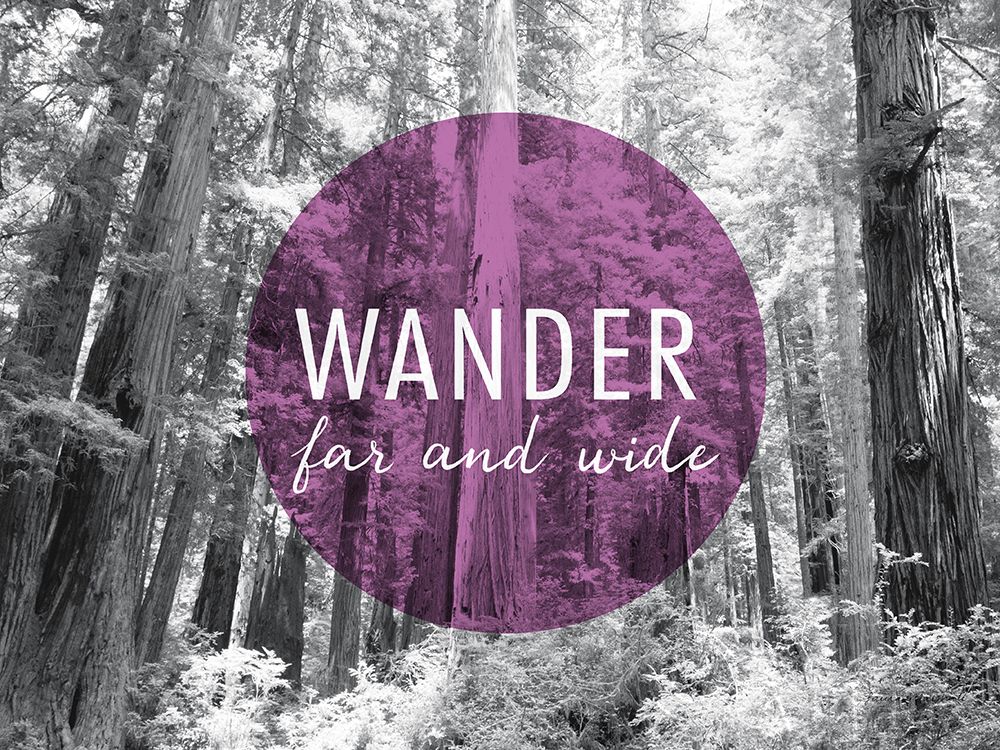 Art Print: Wander Far and Wide v2