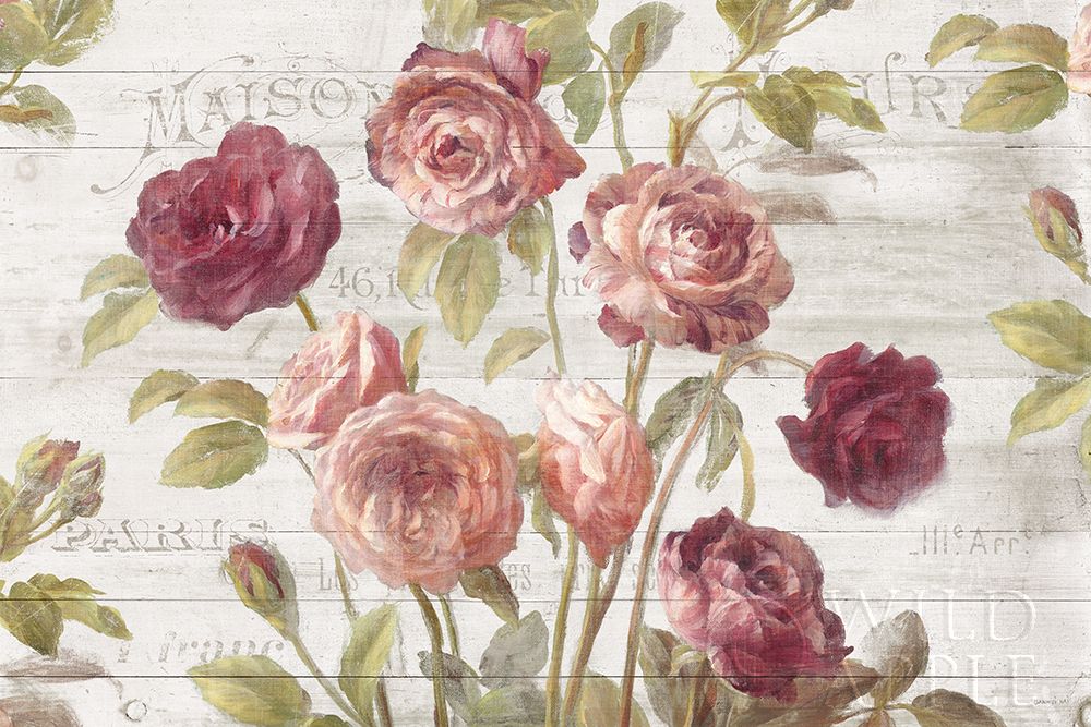 Art Print: French Roses I