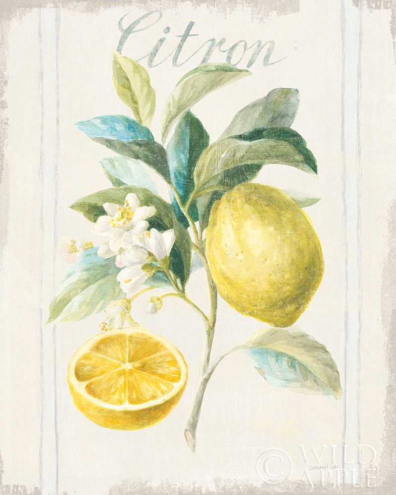 Art Print: Floursack Lemon IV v2