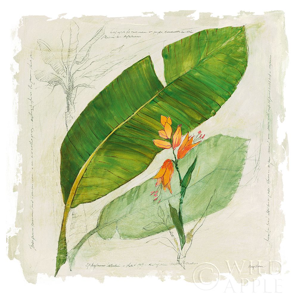 Wall Art Painting id:239842, Name: Botanical Study I Light, Artist: Tillmon, Avery