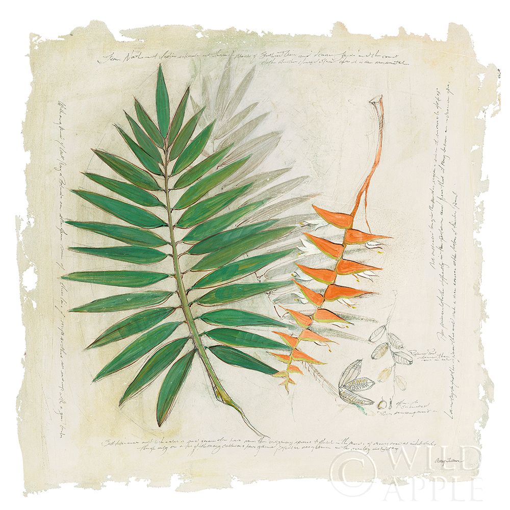 Art Print: Botanical Study II Light