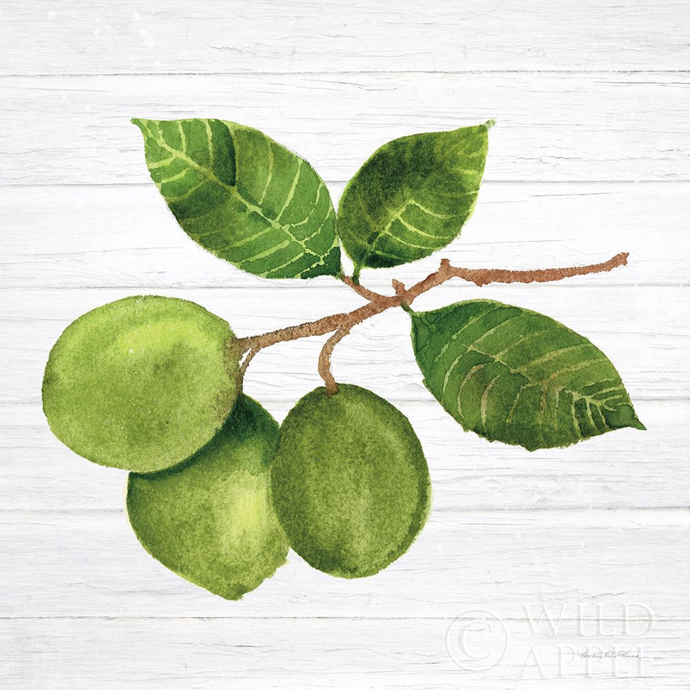 Art Print: Citrus Garden II Shiplap