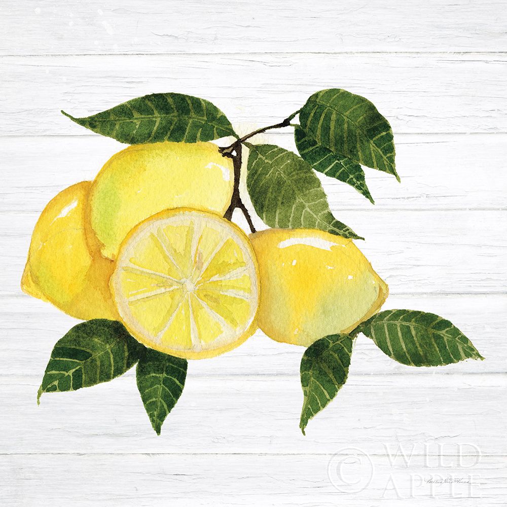 Art Print: Citrus Garden VI Shiplap