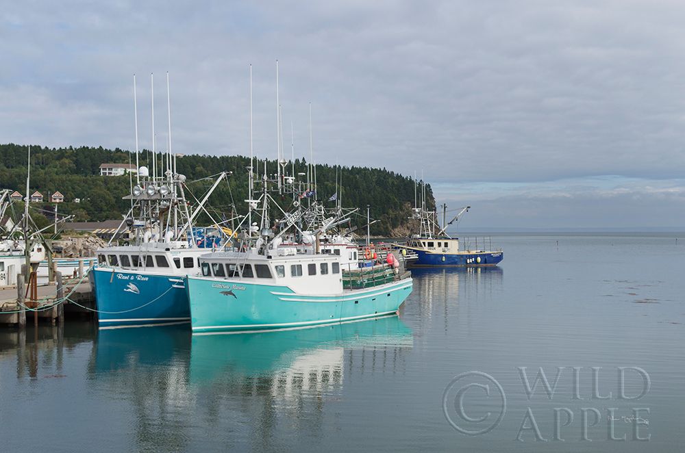 Art Print: Bay of Fundy I