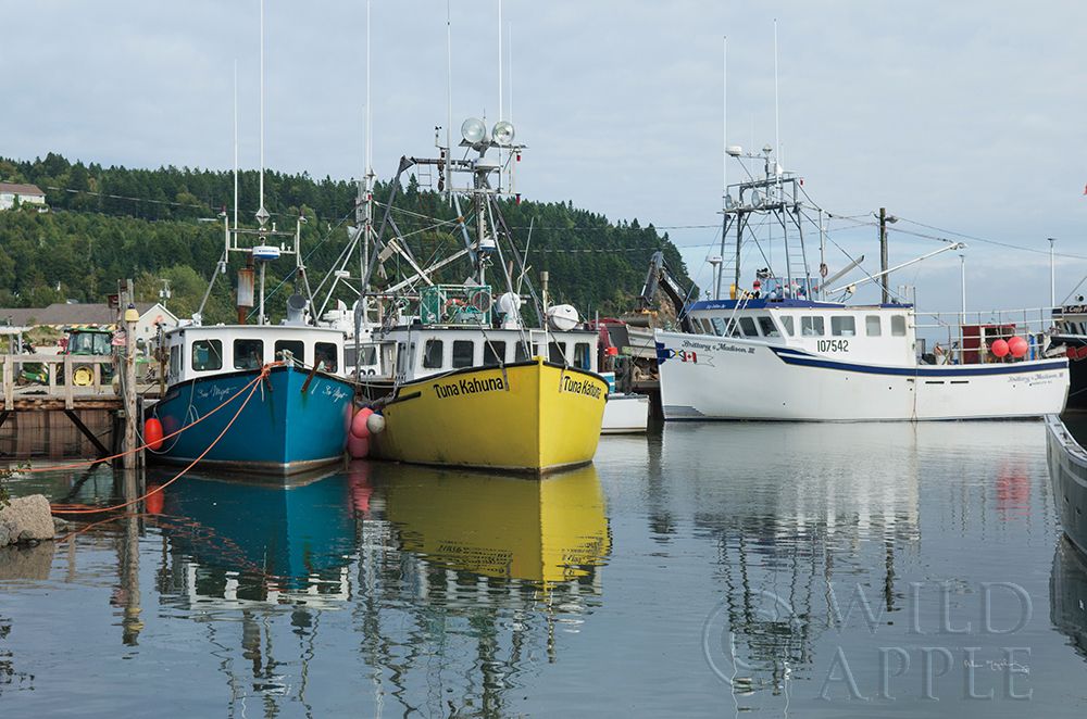 Art Print: Bay of Fundy II