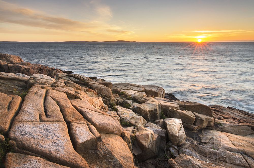 Wall art: Acadia Sunrise, by Majchrowicz, Alan