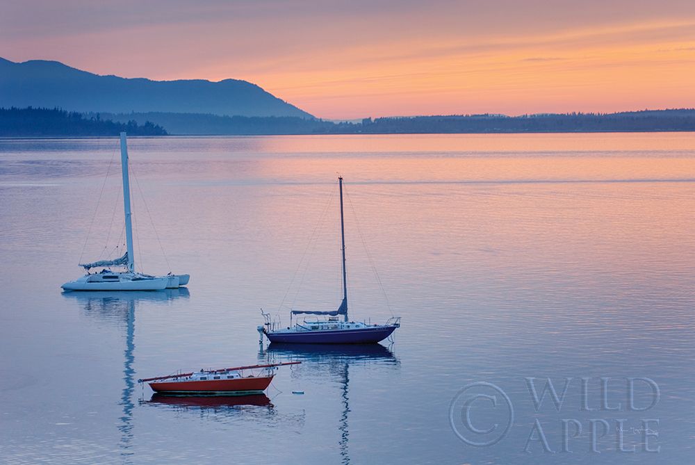 Art Print: Bellingham Bay