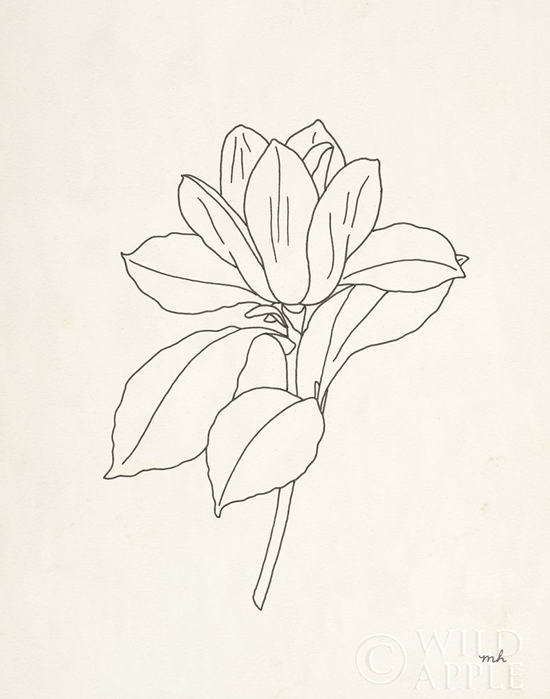 Wall art: Magnolia Line Drawing, by Hershey, Moira