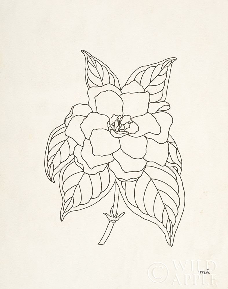 Wall art: Gardenia Line Drawing, by Hershey, Moira