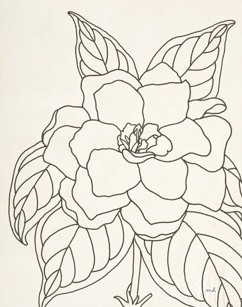 Wall art: Gardenia Line Drawing Crop, by Hershey, Moira
