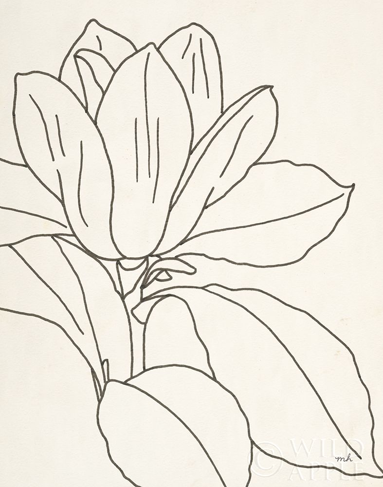 Wall art: Magnolia Line Drawing v2 Crop, by Hershey, Moira