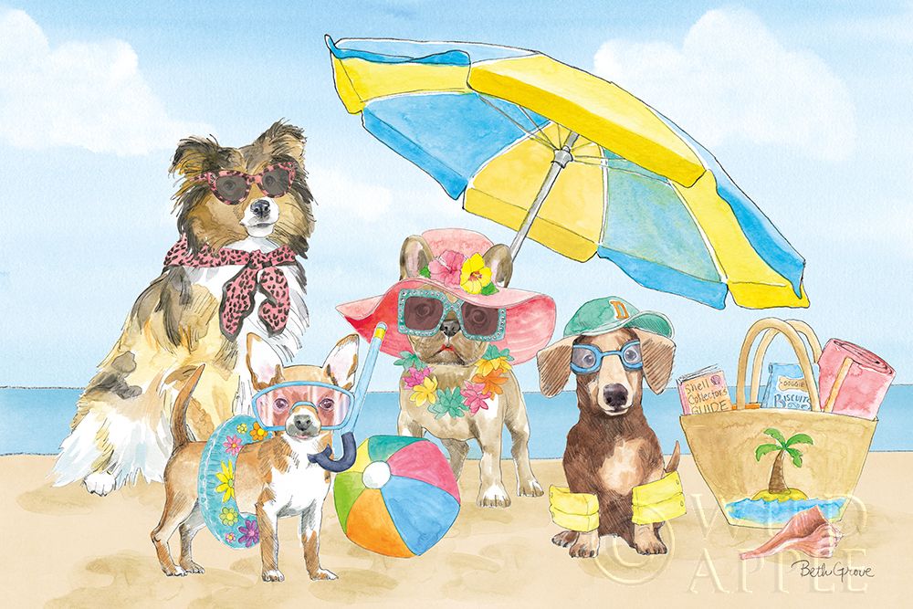 Art Print: Summer Paws I