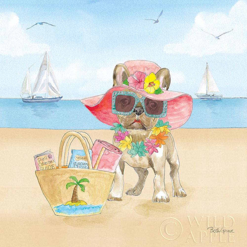 Art Print: Summer Paws IV No Words