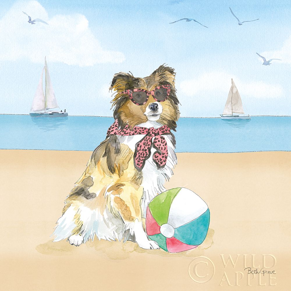 Art Print: Summer Paws V No Words