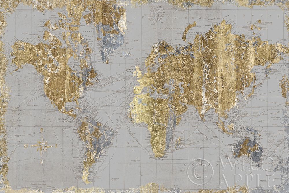 Wall Art Painting id:277791, Name: Gilded Map Light Gray, Artist: Wild Apple Portfolio