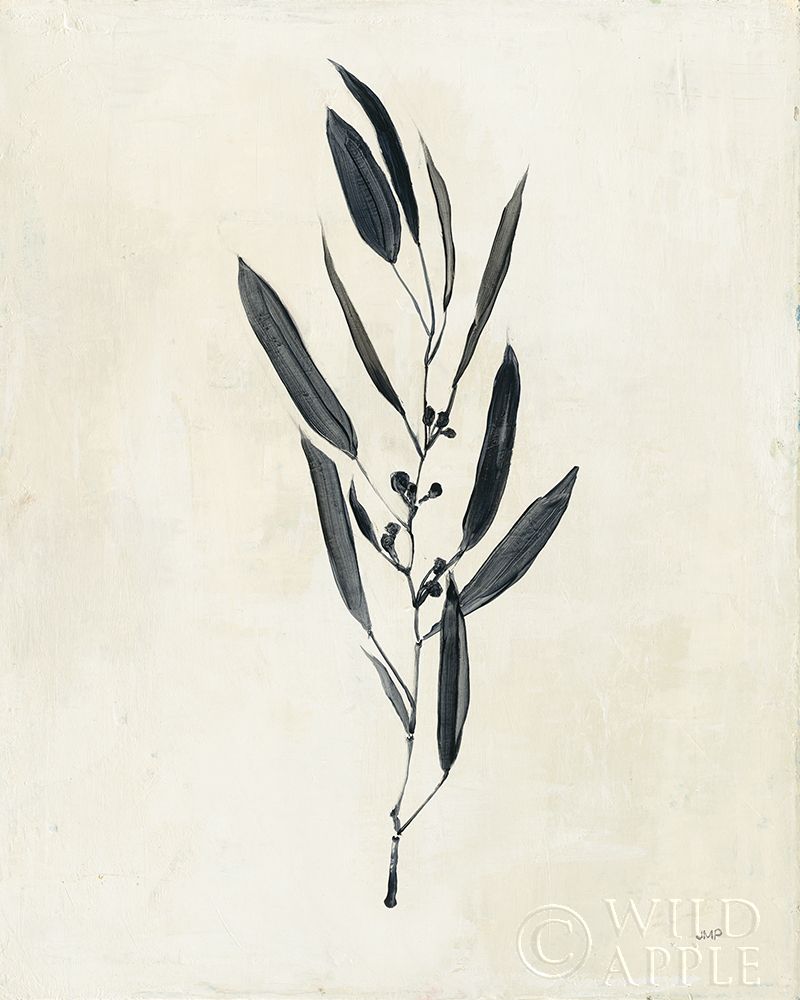 Art Print: Botanical Study I