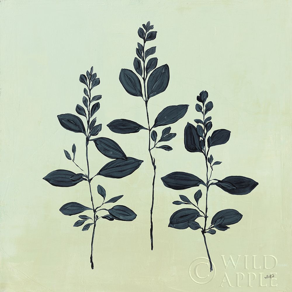 Art Print: Botanical Study IV Sage