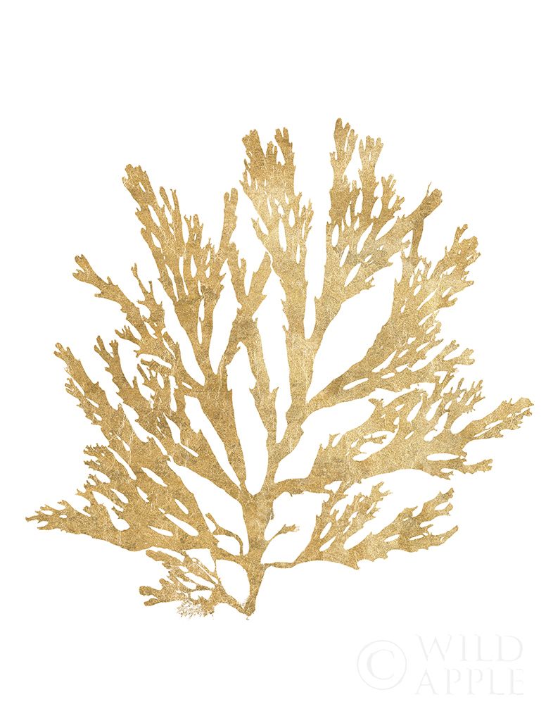 Art Print: Pacific Sea Mosses I Gold