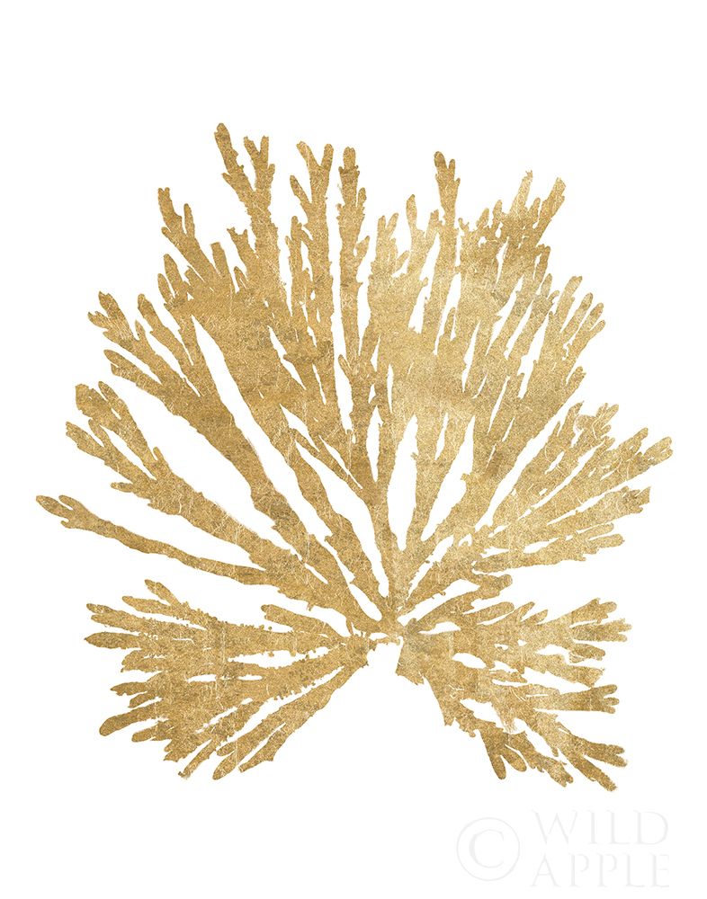 Art Print: Pacific Sea Mosses II Gold