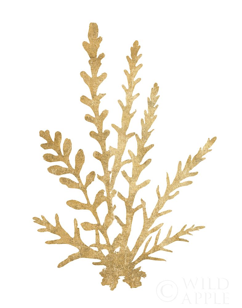 Art Print: Pacific Sea Mosses III Gold