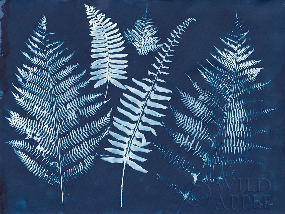Art Print: Nature By The Lake - Ferns I