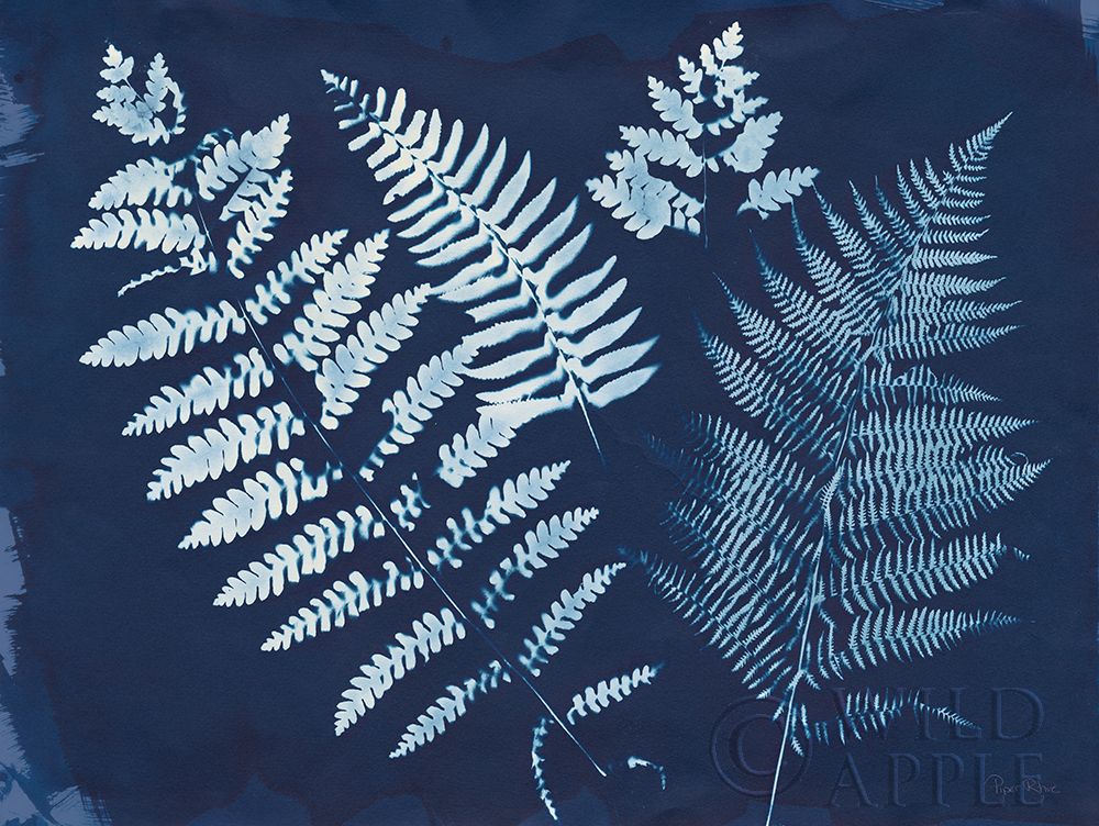 Art Print: Nature By The Lake - Ferns II