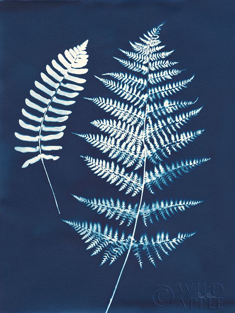 Art Print: Nature By The Lake - Ferns V