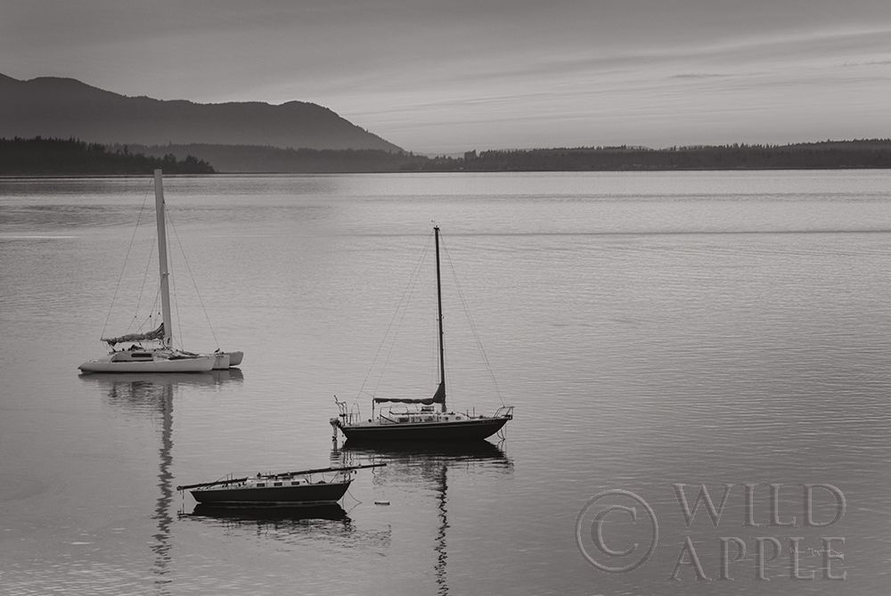 Art Print: Bellingham Bay BW