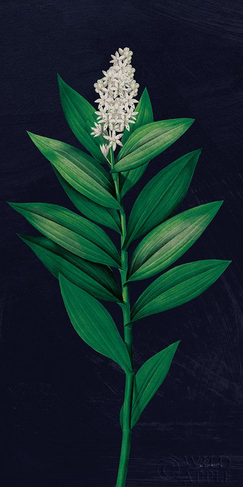 Art Print: Dramatic Tropical III