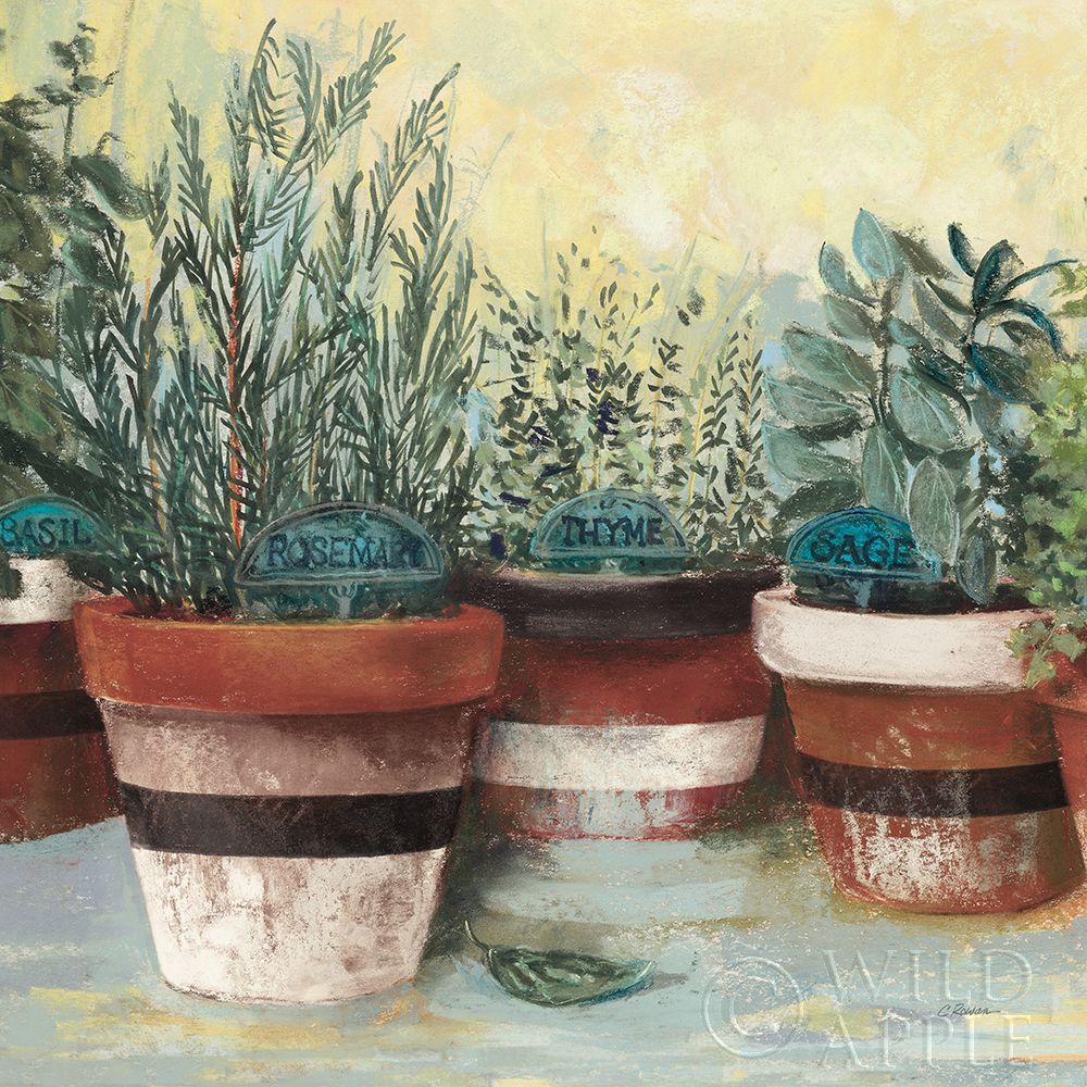 Art Print: Potted Herbs II Stripes Crop
