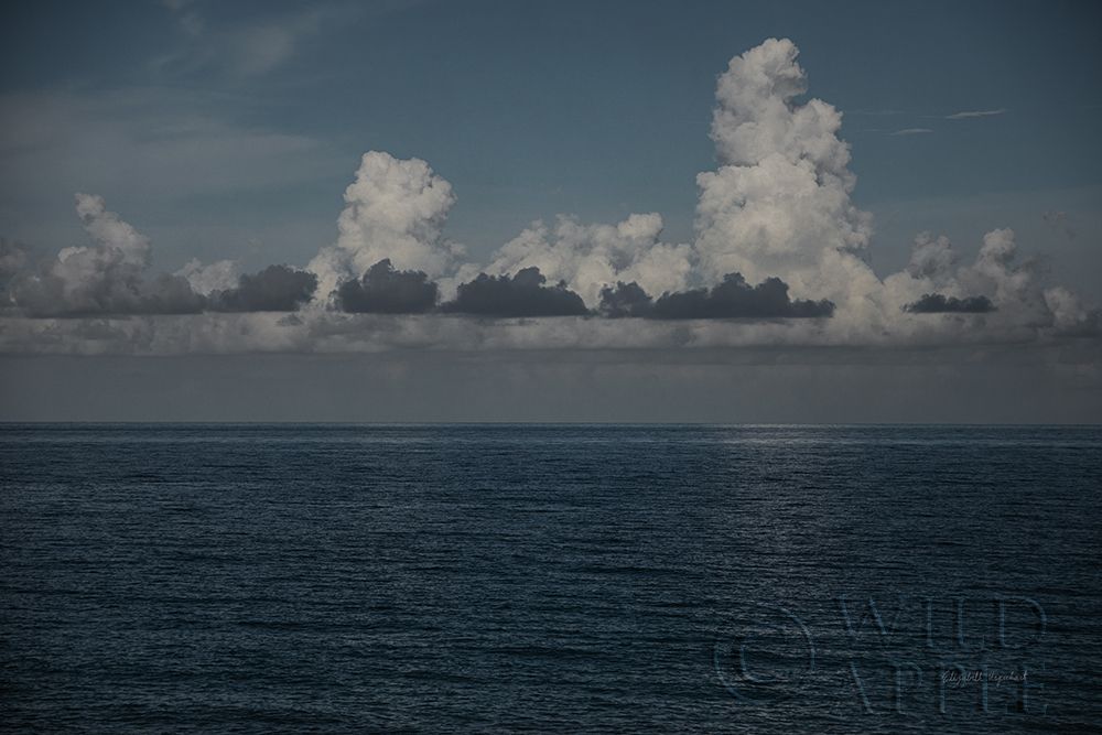 Wall art: Into the Deep I, by Urquhart, Elizabeth